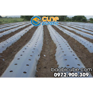 MÀNG PHỦ NÔNG NGHIỆP