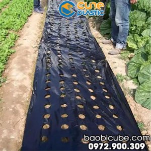 MÀNG PHỦ NÔNG NGHIỆP