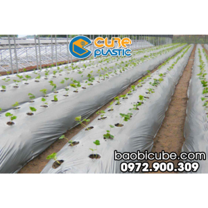 MÀNG PHỦ NÔNG NGHIỆP