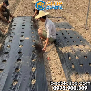 MÀNG PHỦ NÔNG NGHIỆP