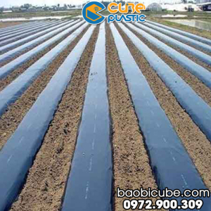 MÀNG PHỦ NÔNG NGHIỆP