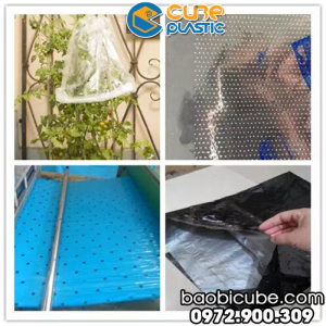 MÀNG PHỦ NÔNG NGHIỆP