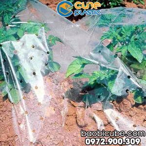 MÀNG PHỦ NÔNG NGHIỆP