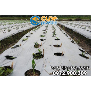 MÀNG PHỦ NÔNG NGHIỆP