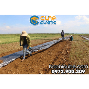 MÀNG PHỦ NÔNG NGHIỆP