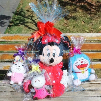 TÚI LÈO, LỒNG PE